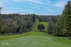 P1095793-HDR