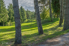 P1096553-HDR