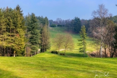 Green Buca 2 verso Tee