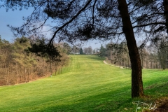 Dog Leg Fairway Buca 9